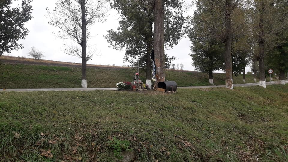 Emoționant! Ce a făcut câinele unui tânăr de 21 de ani din Iaşi, după ce stăpânul lui a murit într-un accident rutier