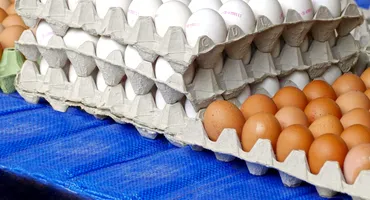 Cât va costa un ou, înainte de Paște? Prețurile au luat-o razna din cauza gripei aviare