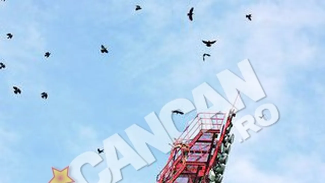 Scandal pe Stadionul Nicolae Dobrin din Pitesti S-a urcat pe nocturna sa puna pe fuga ciorile