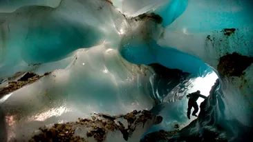 Omul Gheturilor  isi risca viata pentru o poza