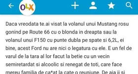 Galerie foto - poza 2