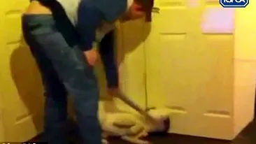 VIDEO SOCANT! Momentul in care un bărbat isi bate cu sălbăticie câinele, cu o teavă! Ce l-a determinat să facă asta