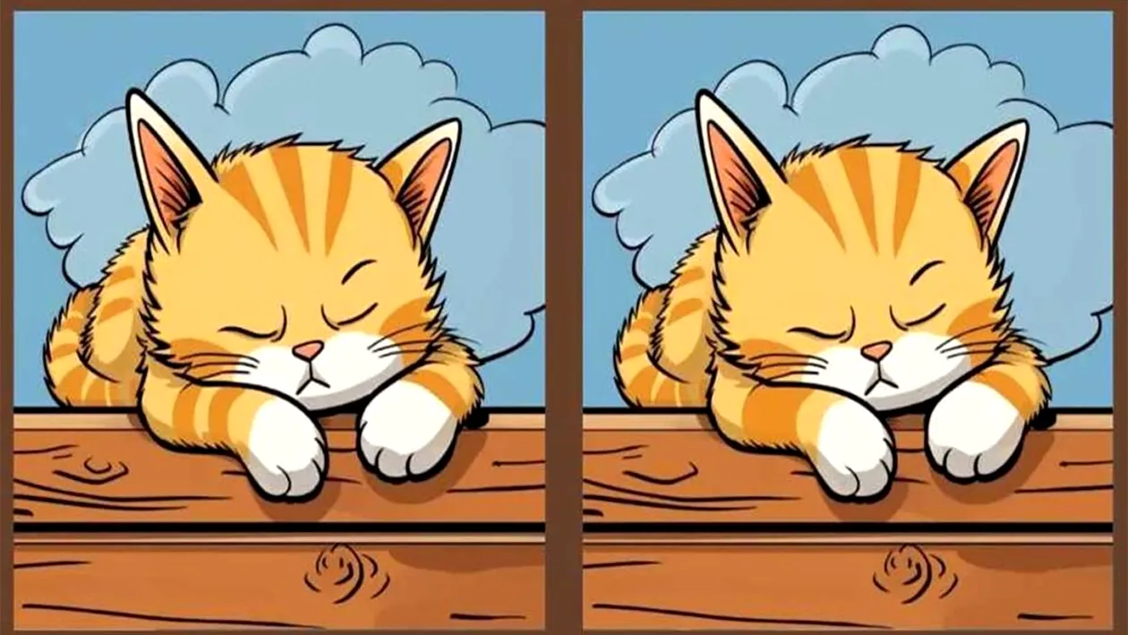 Test de perspicacitate | Găsiți toate cele 3 diferențe între cele două pisici din imagine, în maximum 23 de secunde