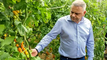 Planul Ministrului Agriculturii pentru sprijinirea producătorilor locali. Florin Barbu, mesaj clar „Să cumpărăm românește!”