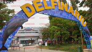 Noul tarif la Delfinariu Constanța. Cât costă biletul pentru o demonstrație de doar 20 de minute