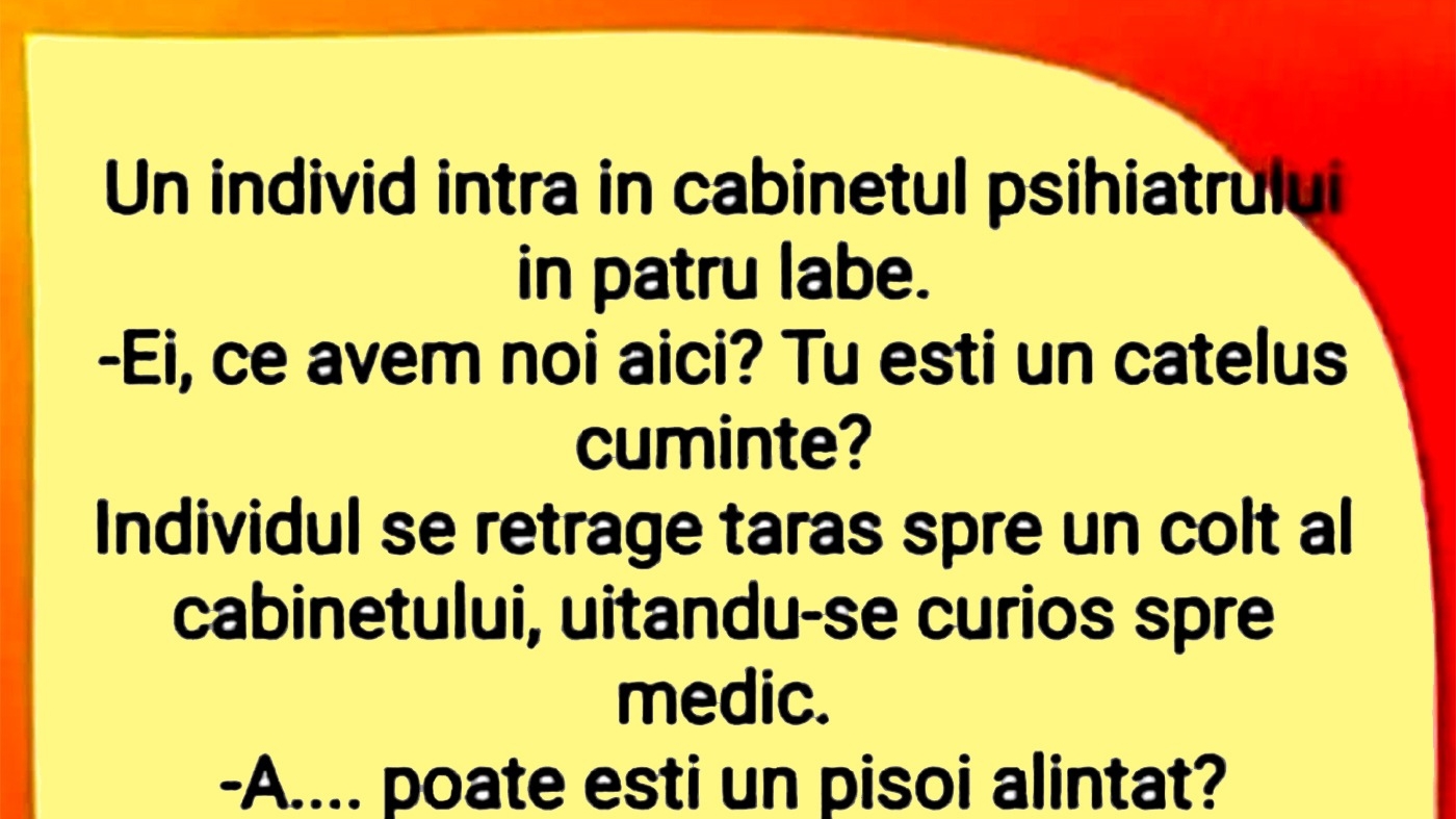 BANC | "Ei, ce avem noi aici? Tu ești un cățeluș cuminte?"
