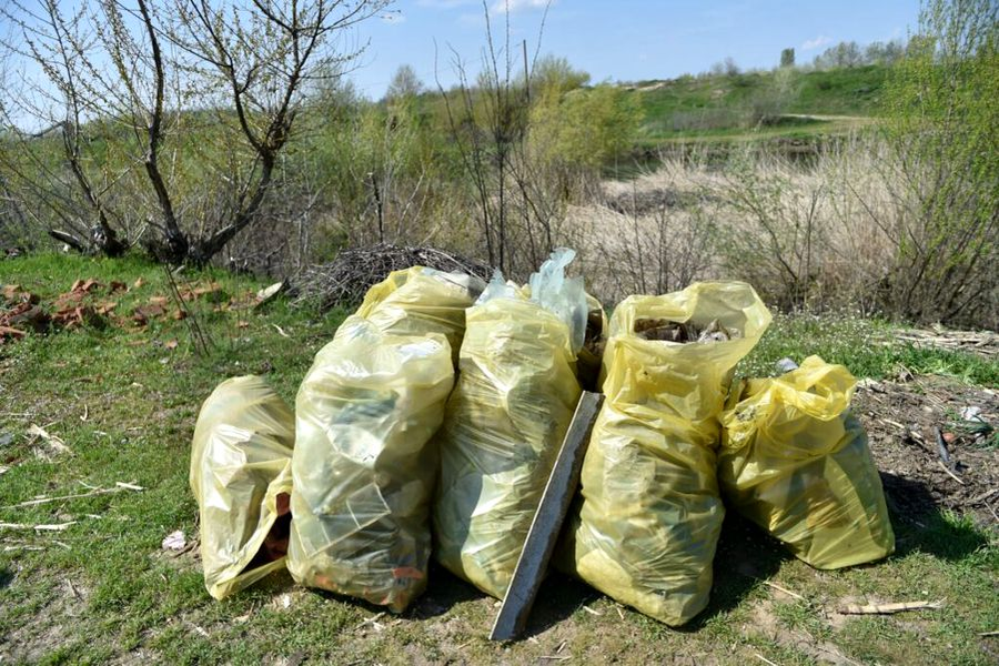 Peste 10.000 de membri PSD, mobilizați în acțiuni de ecologizare de Ziua Pământului
