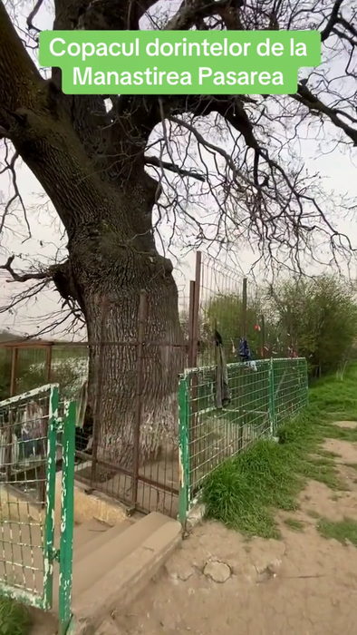 Sursa foto: capturi TikTok