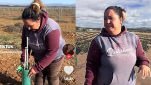 O româncă oferă salariu de 100 de euro pe zi în Spania. Are nevoie de 30-40 de persoane