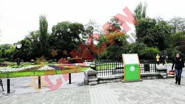 Aleile Cismigiului, facute pe urmele pasilor trecatorilor