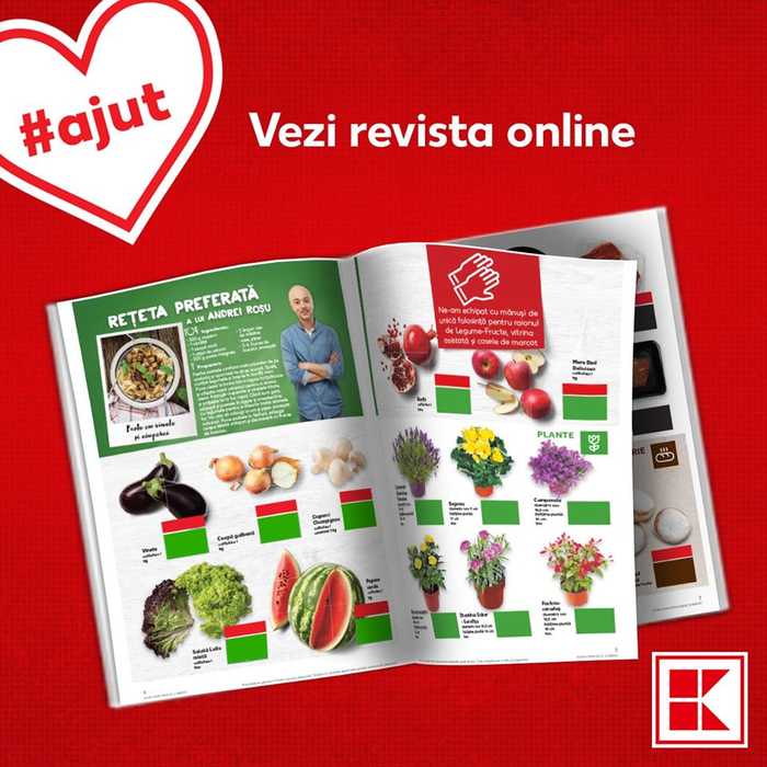 Care este suma maximă pe care o poate câștiga un paznic la Lidl, Mega Image sau Kaufland