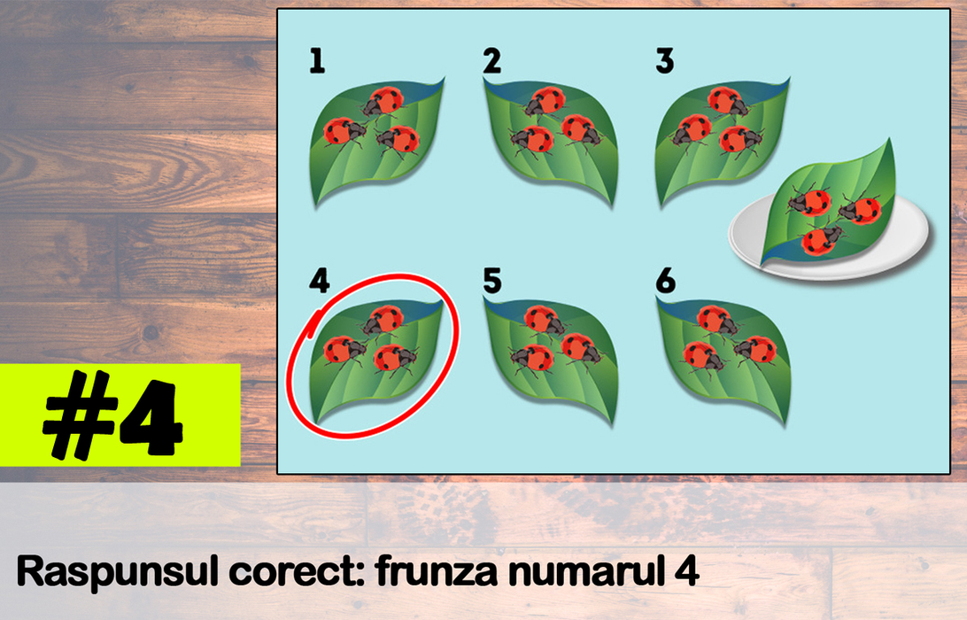 TEST IQ cu 10 întrebări | Prima: 3 medici susțin că Paul e fratele lor. Paul spune, însă, că nu are niciun frate. Cine minte?