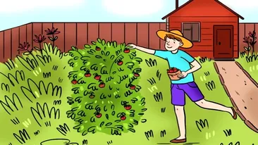 TEST IQ | Ești un geniu dacă poți descoperi greșeala din această imagine