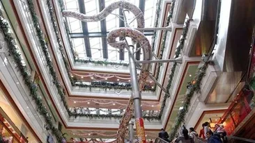 Preferi liftul sau scările rulante atunci când te afli într-un centru comercial? Acum ai şi a treia variantă, dar este înfricoşătoare! 