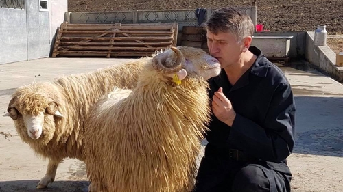 Cristian Pomohaci, acuzat de omor? „Nu am zis la nimeni acest lucru!”