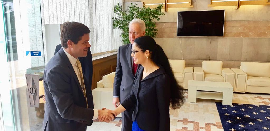 Întâmpinarea domnului Wess Mitchell, asistentul Secretarului de Stat al SUA