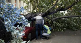 Galerie foto - poza 3