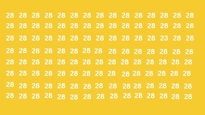 Test de logică | Găsiți numărul 23 "camuflat" în această imagine!