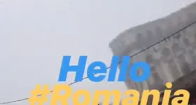 Galerie foto - poza 3