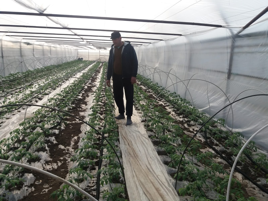 Fermierii se plâng că le-au crescut dramatic costurile, din cauza frigului