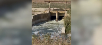 Panică printre agricultorii și piscicultorii din Călărași. Autoritățile au decis să dea drumul la apa din mai multe lacuri, pentru a crește debitul Dunării. Nivelul fluviului la Cernavodă este cu doar 3 cm mai mic de limita operațională a centralei nucleare. Precizări de la Apele Române
