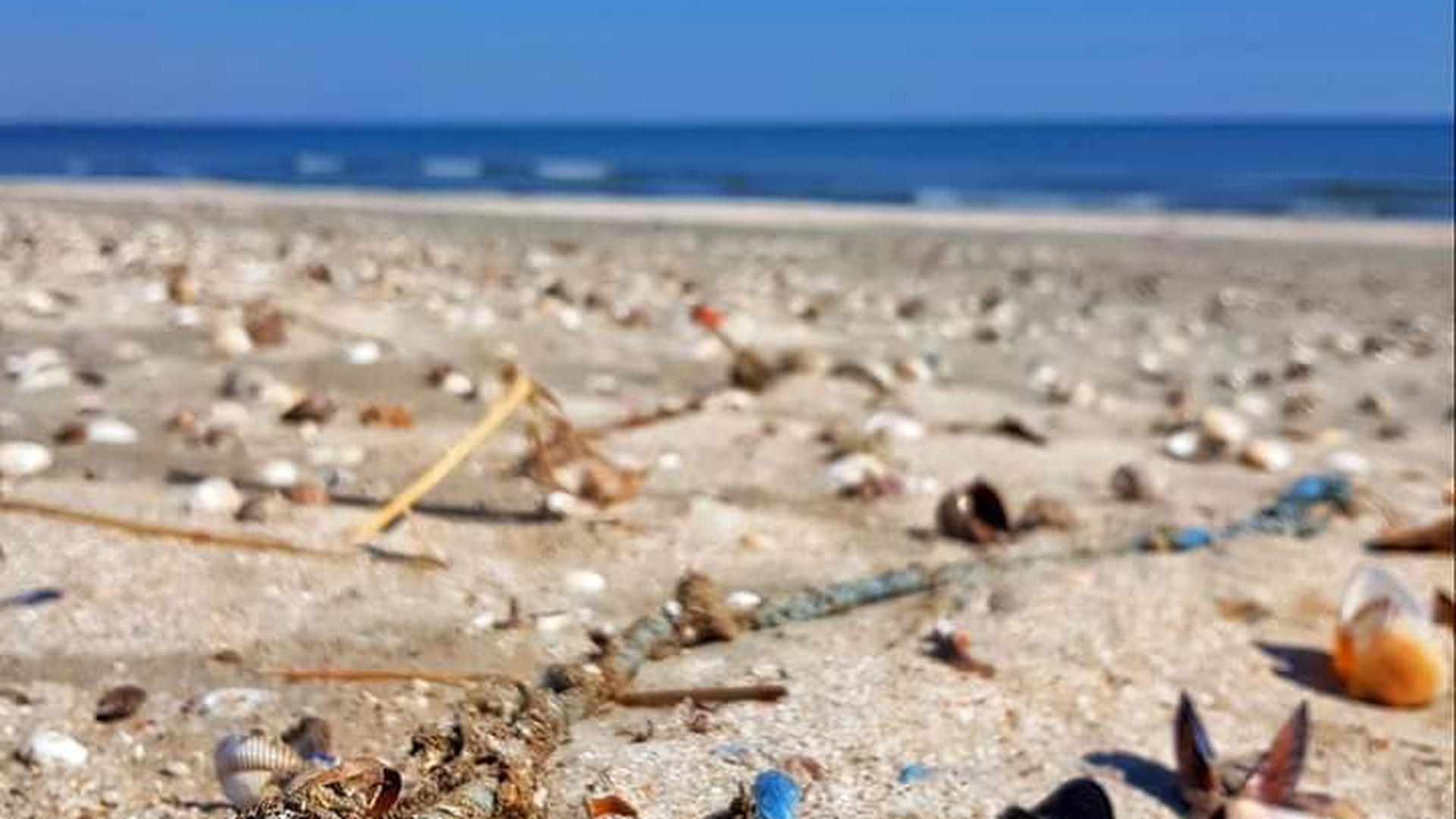 Locul de pe litoralul românesc unde cazarea costă doar 30 de lei pe noapte