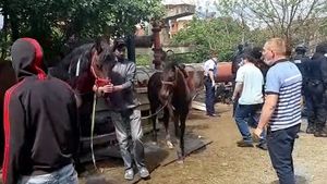 Zeci de mascați au descins la o familie de romi din Drobeta Turnu Severin! Ce au descoperiri au făcut oamenii legii