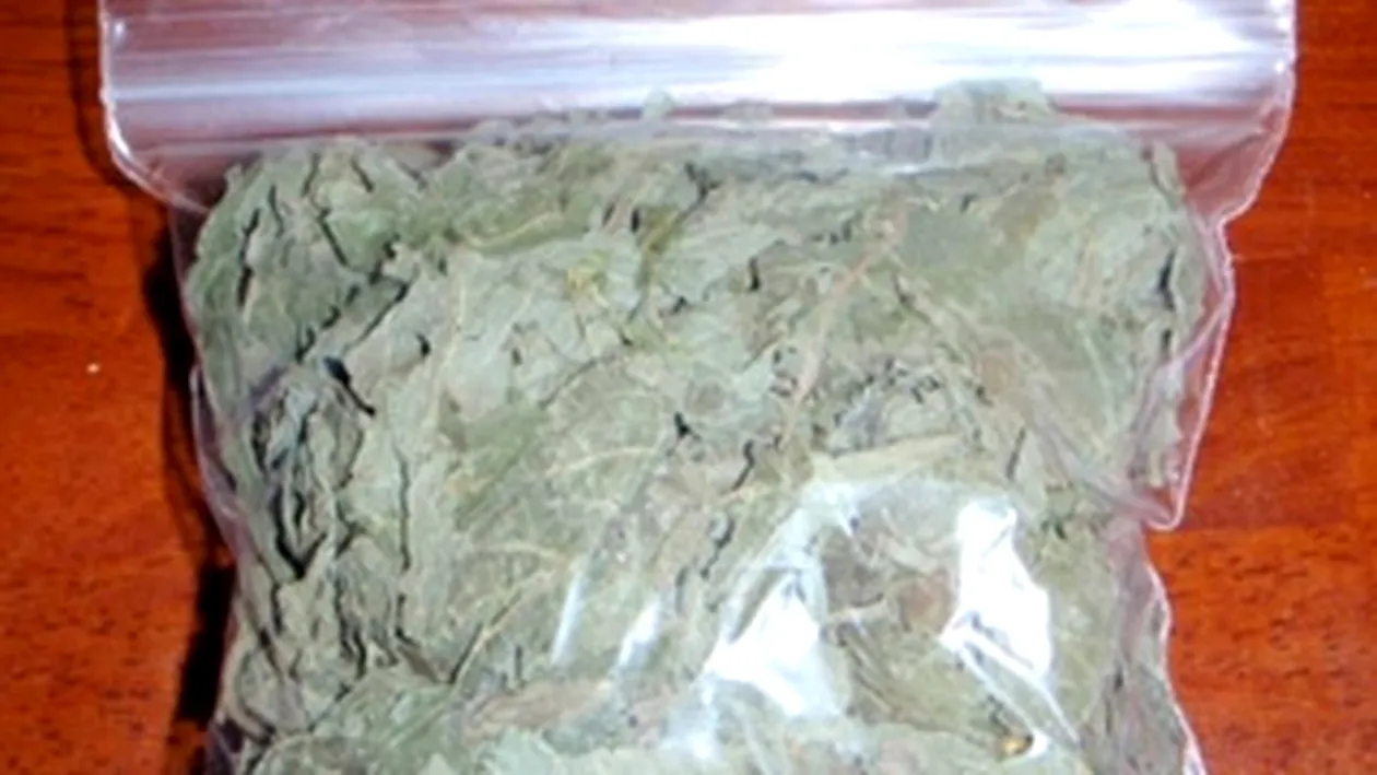 SOCANT! Plantele etnobotanice fac victime! Si-a ucis iubita dupa ce au consumat substante halucinogene