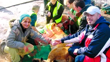 Leii de la Oradea au emigrat in Anglia