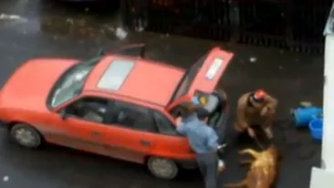 VIDEO Taranul de oras e cel mai prost animal! Doi barbati taie porcul si-l parlesc in spatele blocului, langa portbagajul masinii din care duduie muzica populara