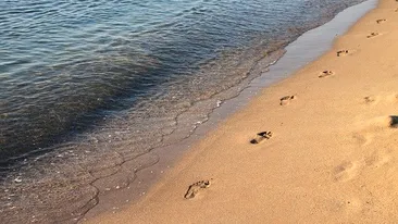 ”Călătorie” prin deșert!? Câte minute faci, de fapt, până la mare de pe plaja din Mamaia. Un turist a cronometrat ”traseul”