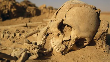 Romeo si Julieta de Cluj! In ce pozitie ciudata au fost descoperite scheletele vechi de 500 de ani