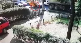 Galerie foto - poza 4