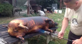 Galerie foto - poza 2