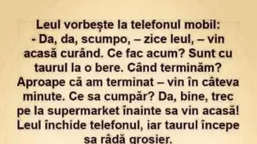Bancul de weekend | Leul și taurul