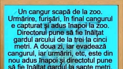 BANCUL ZILEI | Un cangur scapă de la zoo