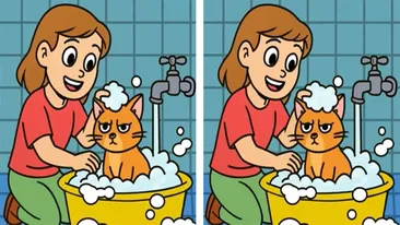 TEST IQ | Aceste două imagini par identice, dar nu sunt. Găsiți 3 diferențe în 33 de secunde!