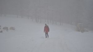 Meteorologii au emis cod galben de ceaţă! După ninsori, vine gerul în România