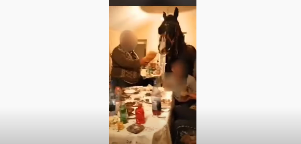 Un cal a fost „invitat” la o petrecere în sufragerie. Opt bărbaţi au fost aspru sancţionaţi