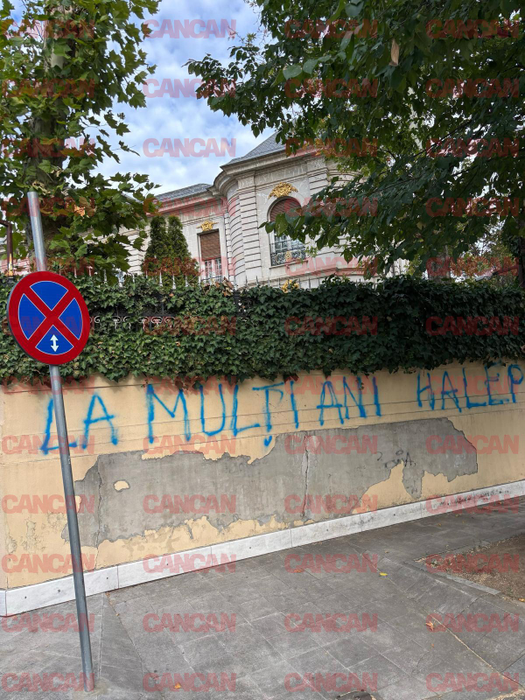 Ce a apărut scris pe gardul palatului lui Gigi Becali. Imaginile surprinse în miezul zilei