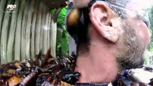 Clipe de groaza pentru Dorian Popa in jungla africana! A plans cu gandacul in gura