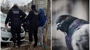 Ce amendă IREALĂ a primit un bărbat pentru că a hrănit porumbeii, în sectorul 6: „Fără să stăm la discuții!”