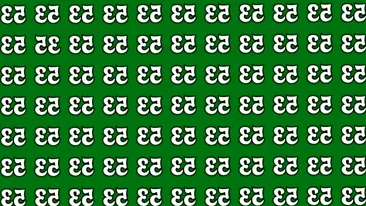 Test de inteligență | Ai IQ-ul lui Einstein dacă găsești numărul inversat '33' în doar 10 secunde