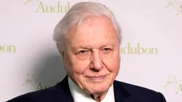 Alimentul la care David Attenborough a renunțat aproape complet pentru longevitate. Legenda BBC a împlinit 100 de ani