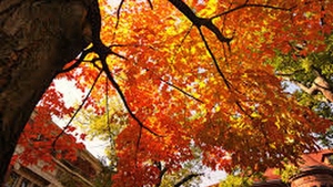 METEO 22 SEPTEMBRIE: Vreme in general frumoasa marti