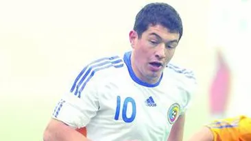 Prepelita lauda Rapidul