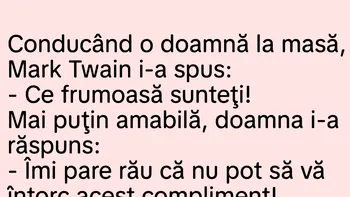 BANC | Mark Twain și doamna frumoasă