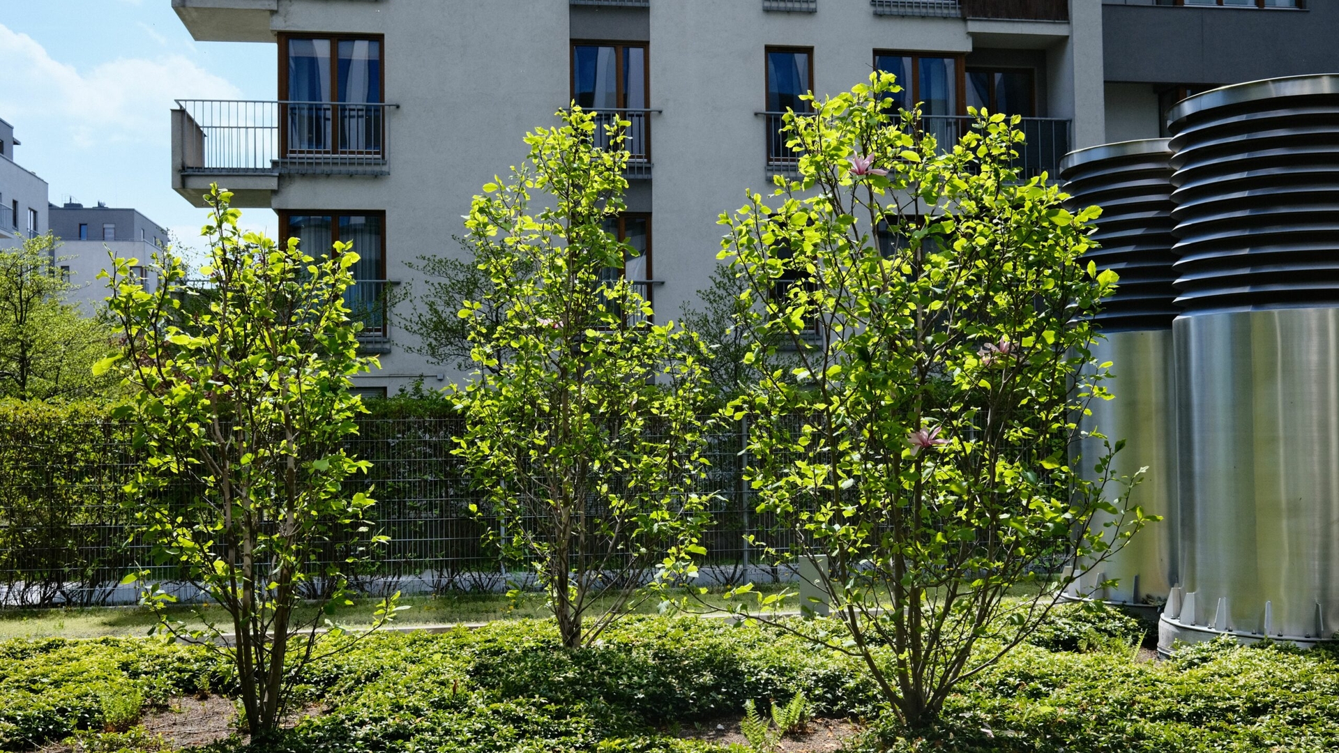 Amendă de 2.500 de lei pentru românii care fac asta în fața blocului. Mulți nu știu că este interzis