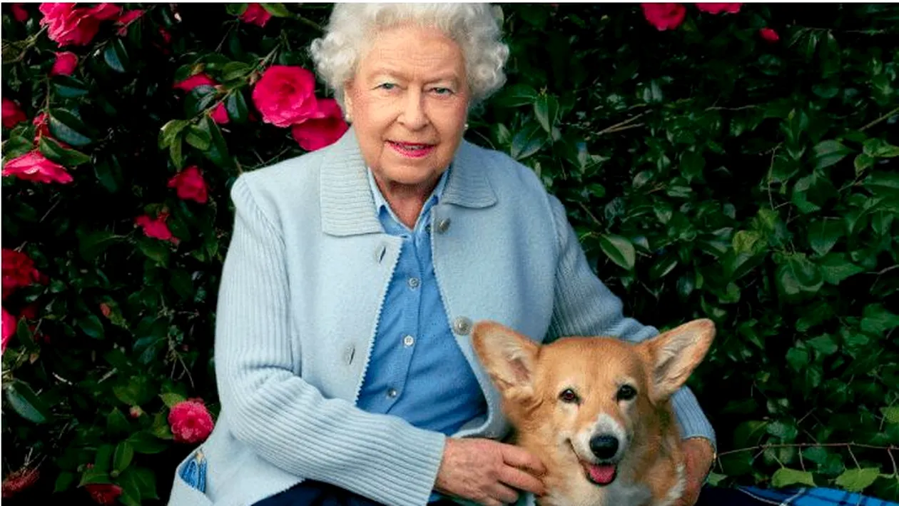 A murit Whisper, ultimul câine din rasa corgi al Reginei Elisabeta a 2-a!