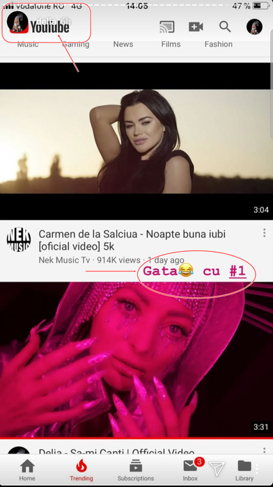 Reacția incredibilă a Deliei după ce a fost detronată de Carmen de la Sălciua în Trending, pe Youtube România, în doar câteva ore!